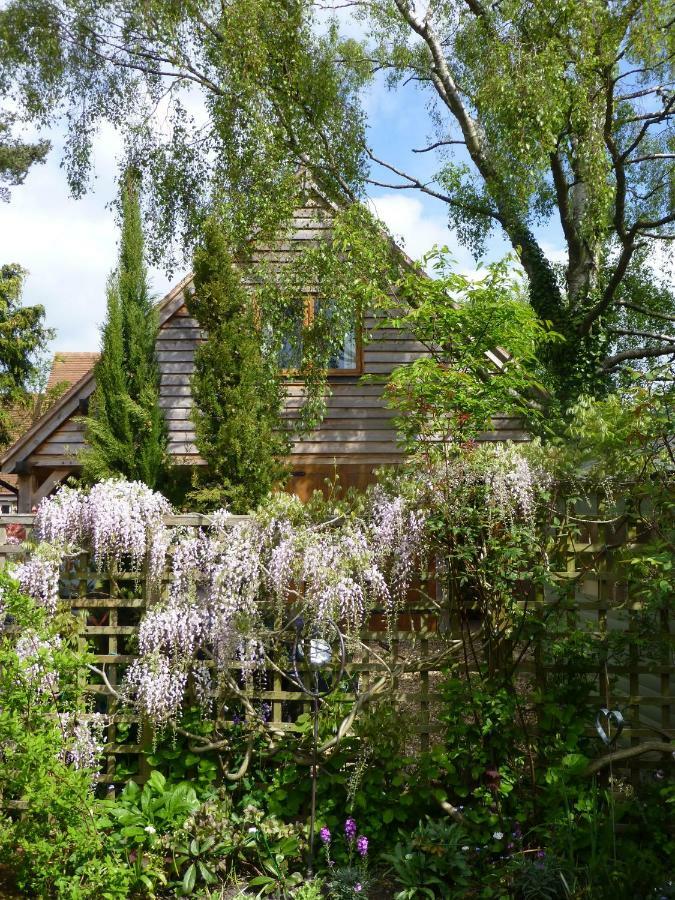 Wisteria Lodge Oxford Exterior photo