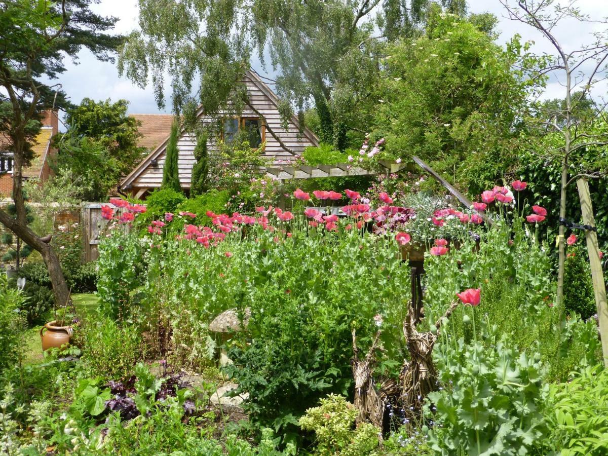 Wisteria Lodge Oxford Exterior photo